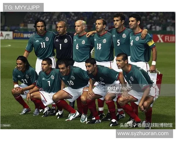 足球明星博克西奇的传奇人生与辉煌成就回顾