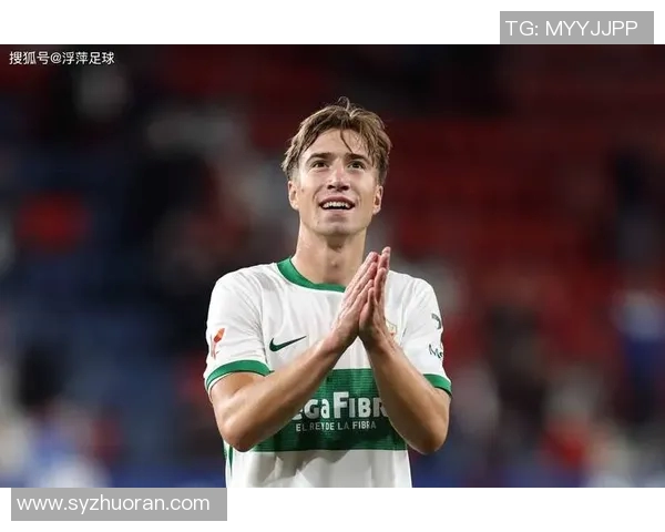 足球明星高雷雷的传奇人生与足球梦想的追逐之路