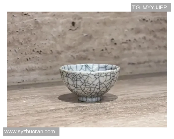 非洲足球明星璀璨星河盘点传奇球员与他们的辉煌成就